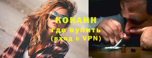 круглые Тайга