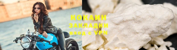 гидра Верхний Тагил