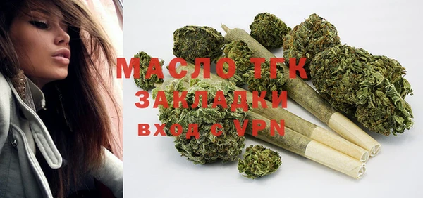 гидра Верхний Тагил