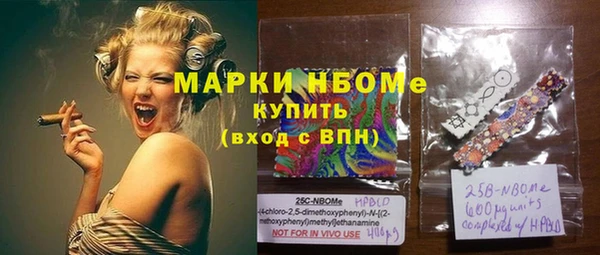 гидра Верхний Тагил