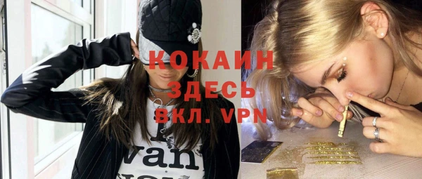 гидра Верхний Тагил