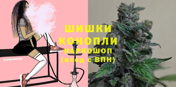 прущие грибы Верхнеуральск
