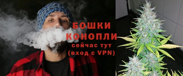 круглые Тайга
