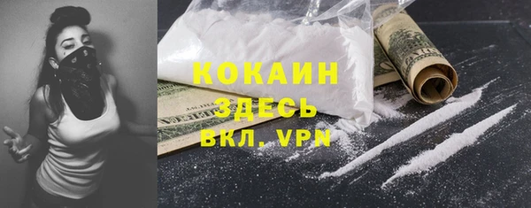 гидра Верхний Тагил